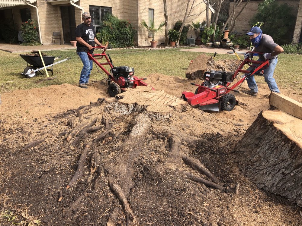 Photo of Neighborhood Lawn Care and Tree Service