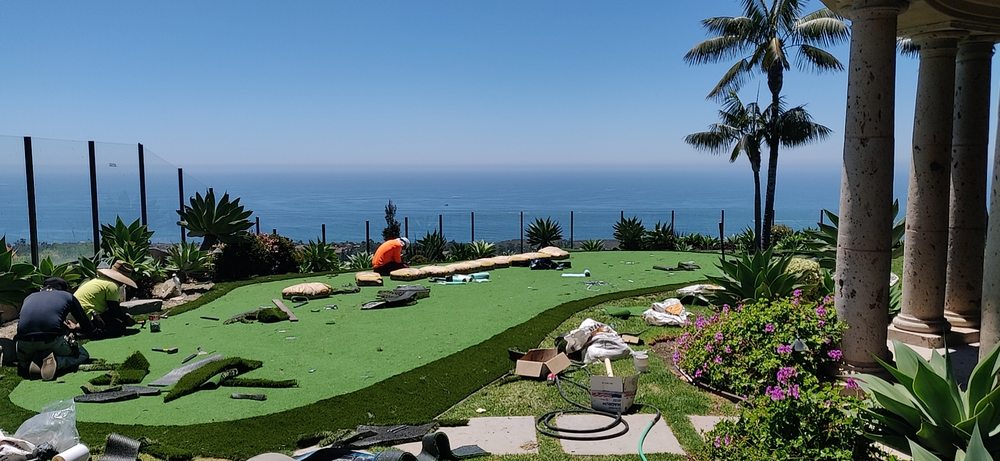 Photo of Artificial Grass Solution