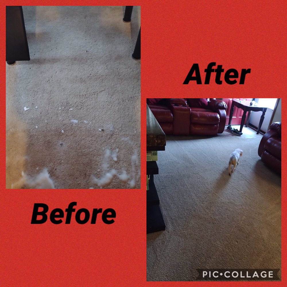 Photo of 2 Sisters Cleaning & Carpet Cleaning Services