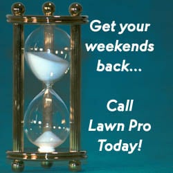 Photo of Lawn Pro
