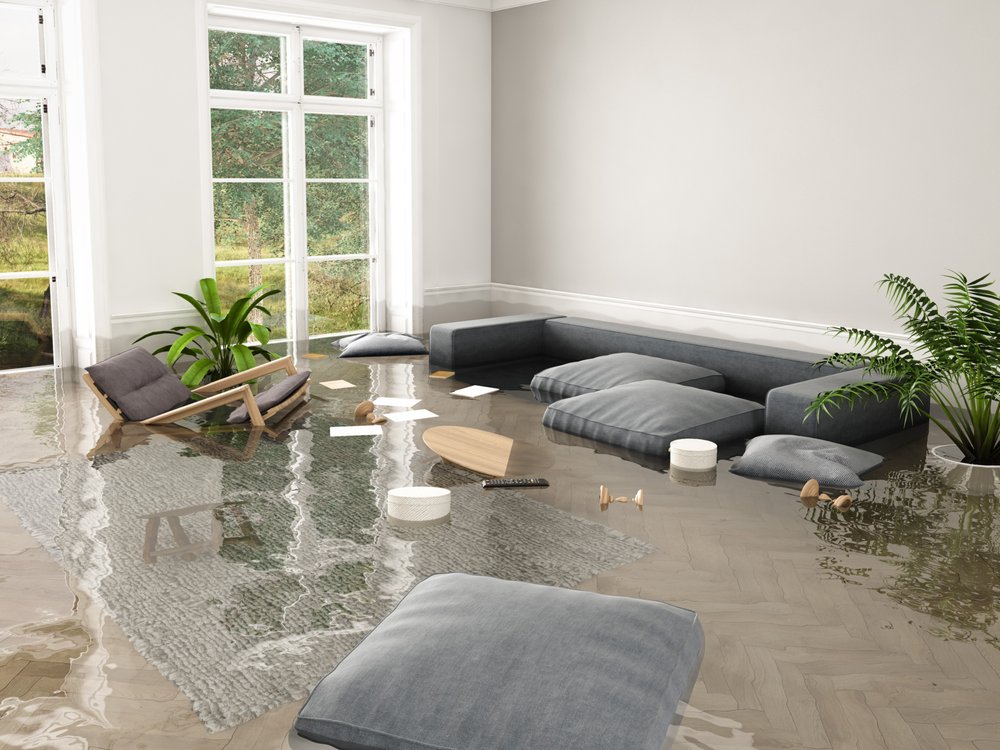 Photo of STOP Restoration Services of Fort Mill SC