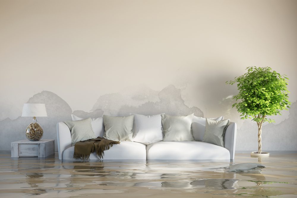 Photo of STOP Restoration Services of Fort Mill SC