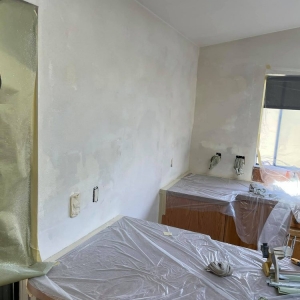 Photo of RD Pro Painter and Drywall