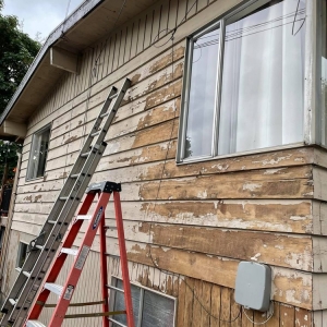 Photo of RD Pro Painter and Drywall