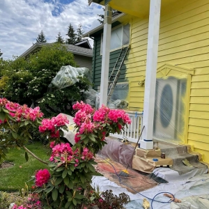 Photo of RD Pro Painter and Drywall
