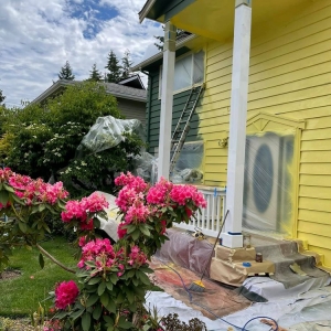 Photo of RD Pro Painter and Drywall