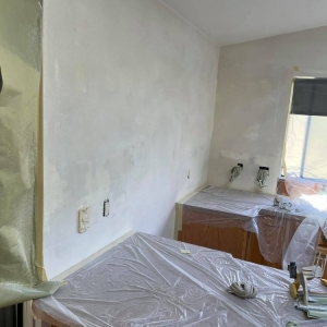 Photo of RD Pro Painter and Drywall