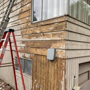 Photo of RD Pro Painter and Drywall
