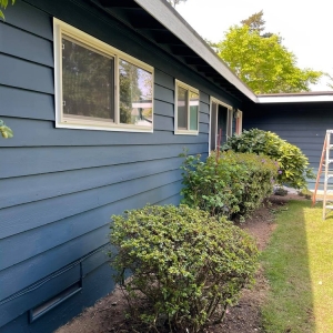 Photo of RD Pro Painter and Drywall