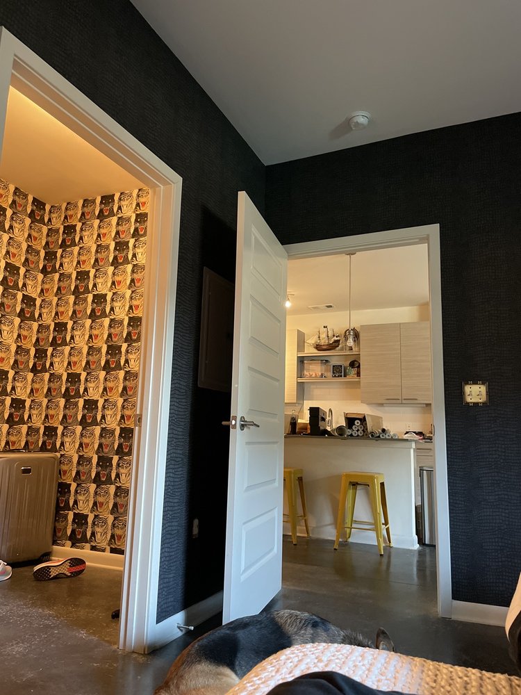 Photo of Mr Wallpaper