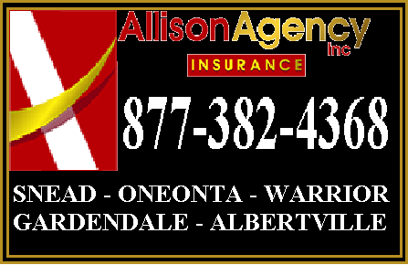 Photo of Allison Agency