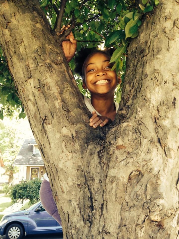 Photo of Omar's Tree Service