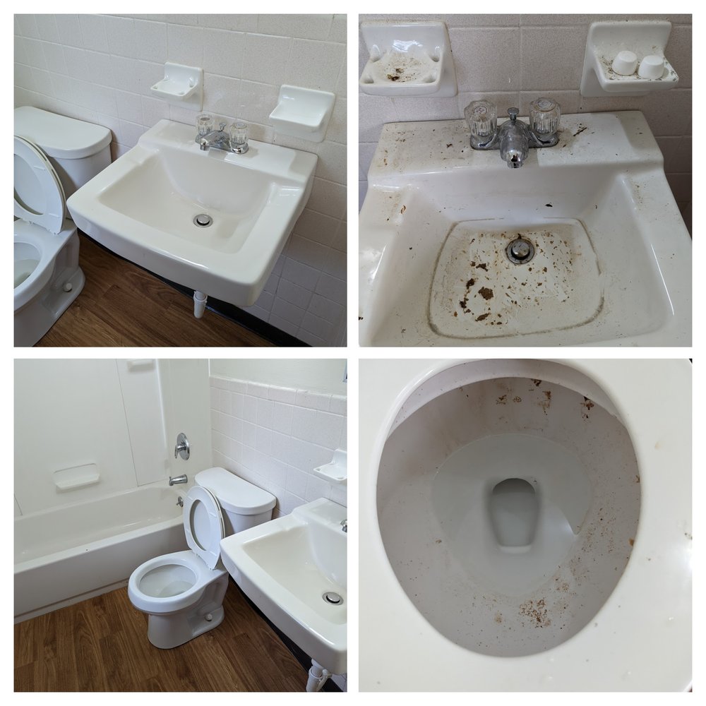 Photo of Lockridge Cleaning