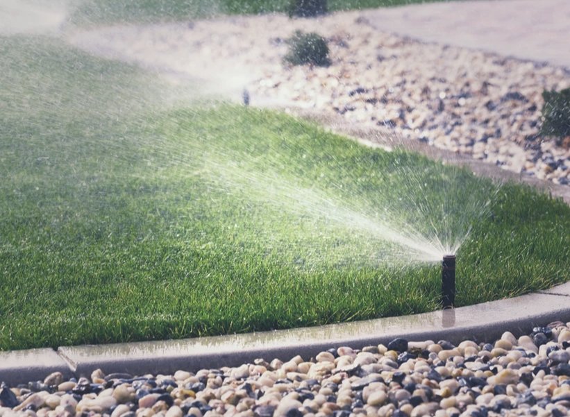 Photo of Elite Weed Control