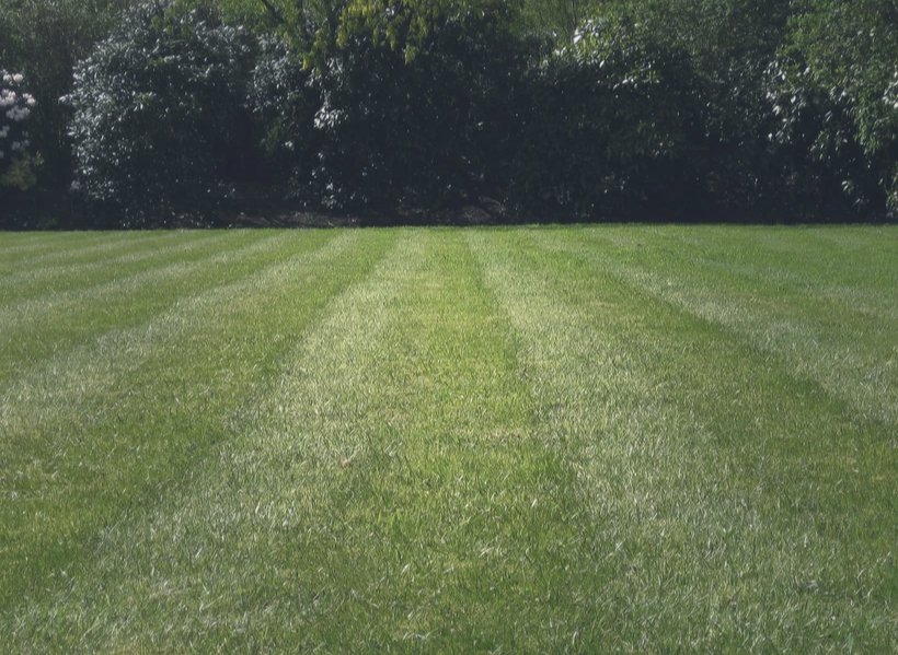 Photo of Elite Weed Control