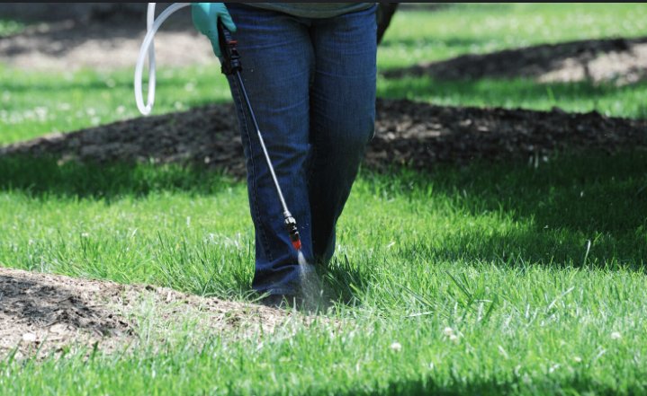 Photo of Elite Weed Control