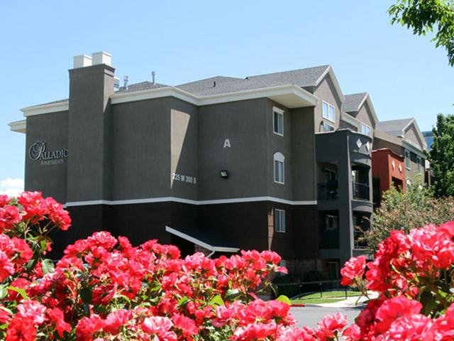 Photo of Palladio