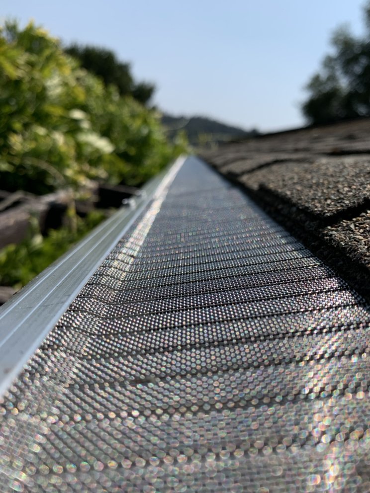 Photo of Gutter Resurrection