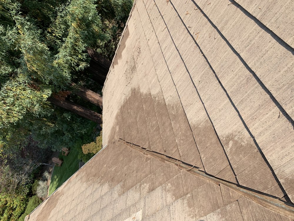 Photo of Gutter Resurrection