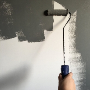 Photo of Snow White Roof Painting