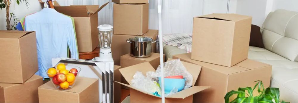 Photo of Luis Movers and Delivery