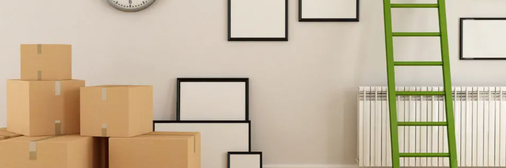 Photo of Luis Movers and Delivery