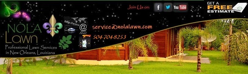 Photo of NOLA Lawn