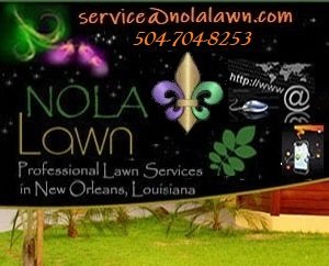 Photo of NOLA Lawn