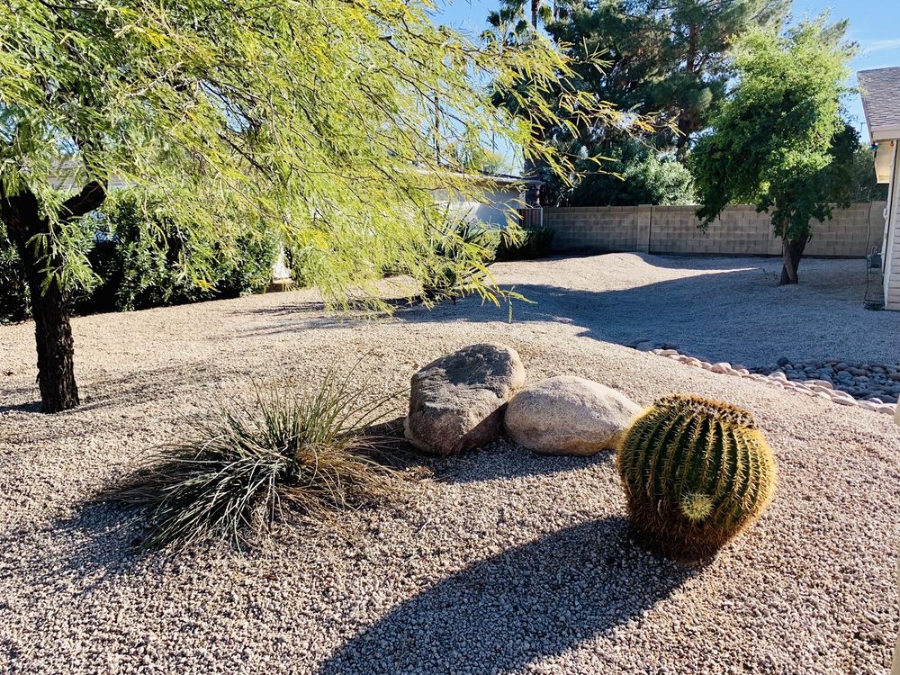 Photo of Wild Jungle Landscaping