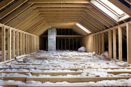 Photo of Polar Bear Insulation