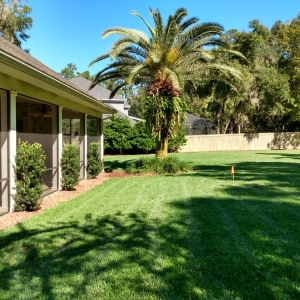 Gainesville Lawn Enforcement Agency