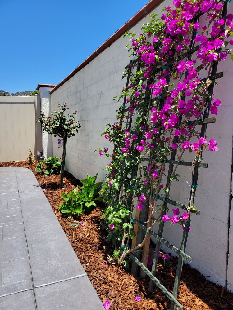 Photo of F G Landscape Construction