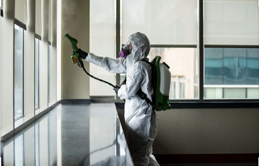 Photo of Lagniappe Sanitizing Service
