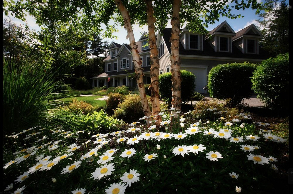 Photo of Island Landscaping and Lawn Service