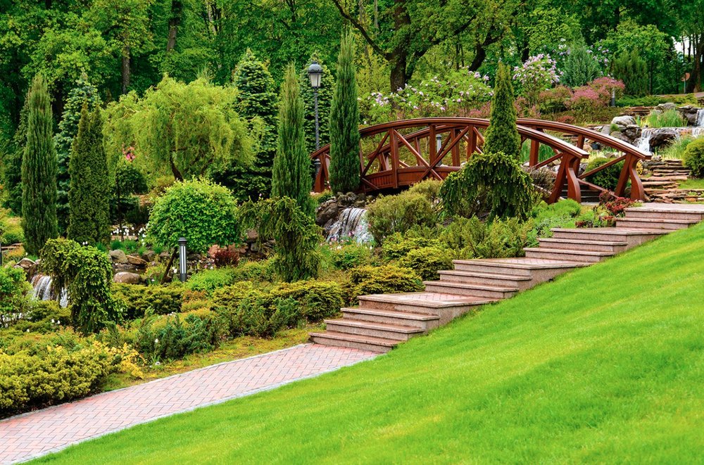 Photo of Island Landscaping and Lawn Service