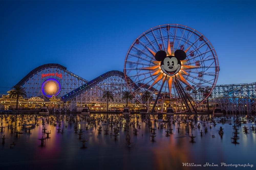 Photo of William Heim Photography