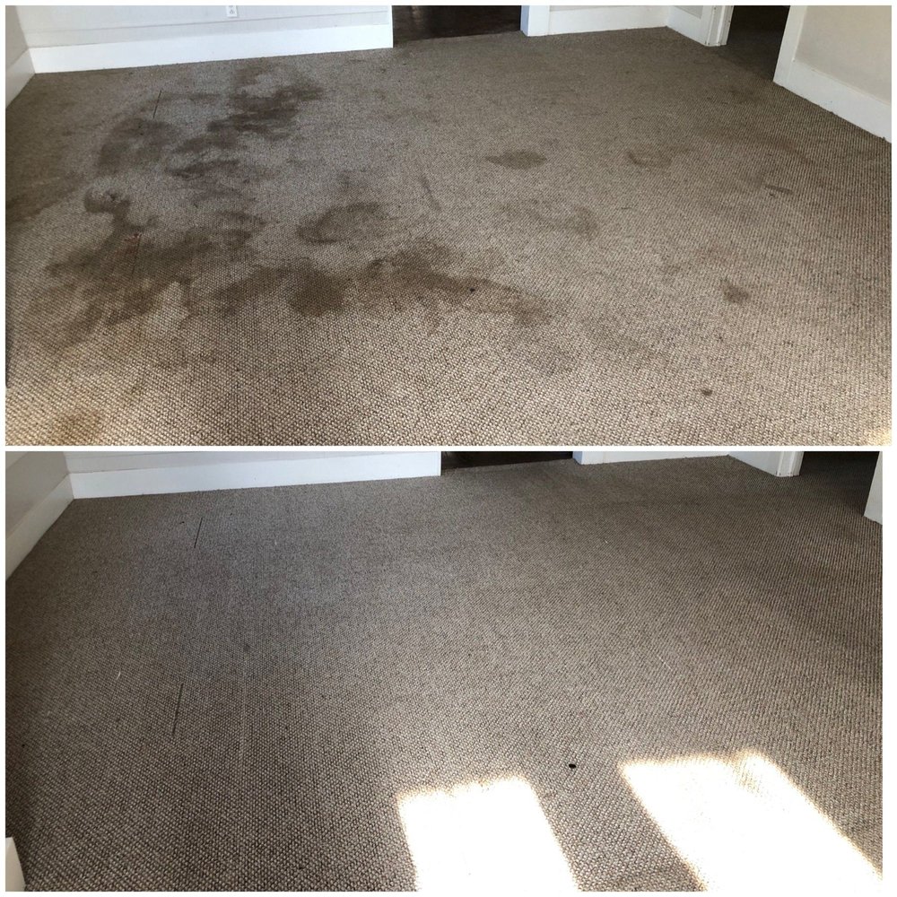 Photo of Kenason Floor Cleaning