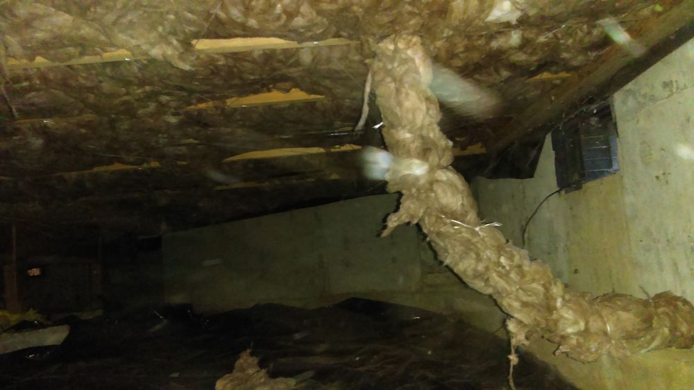 Photo of Echo Energy