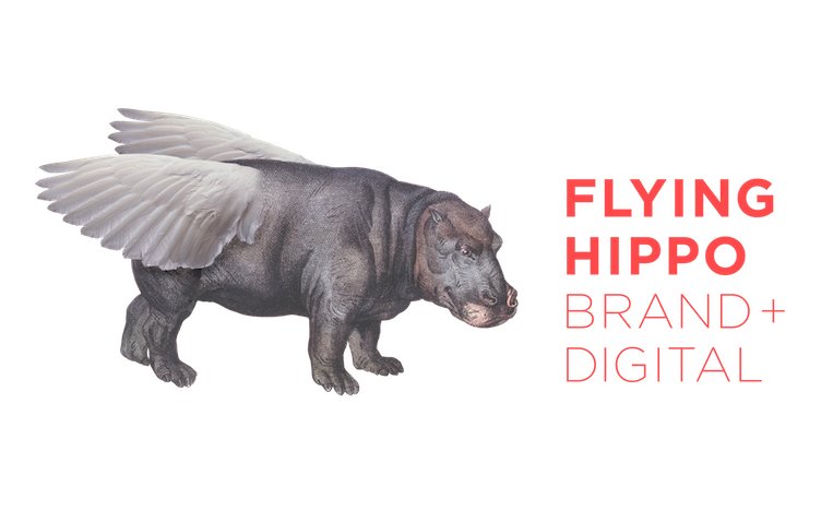 Photo of Flying Hippo