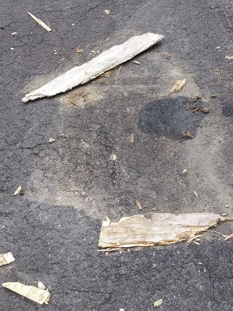 Photo of Asphalt Designs