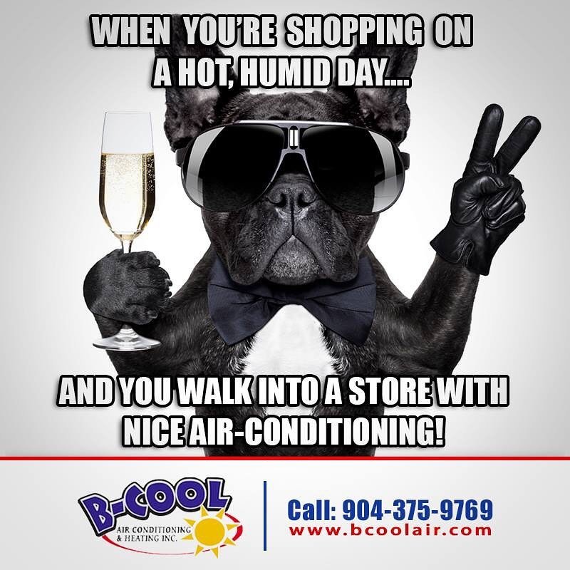 Photo of B-Cool Air Conditioning & Heating