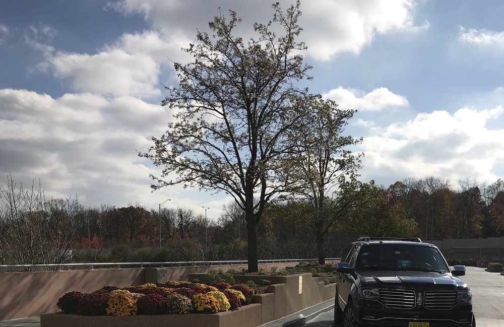 Photo of Regus - Central Park of Lisle