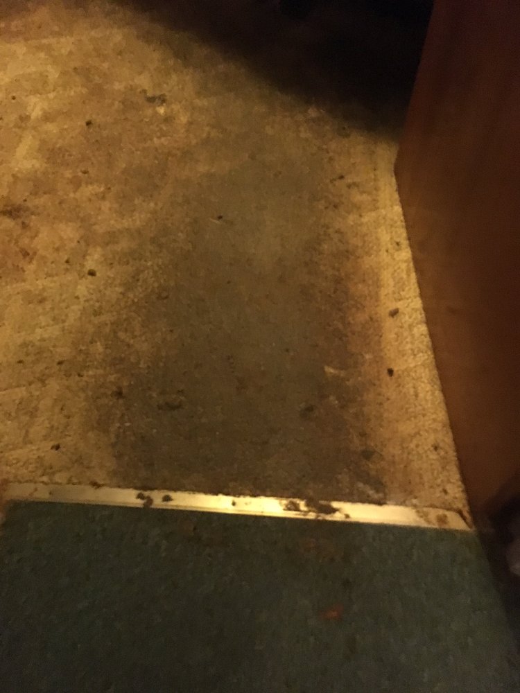 Photo of Almost New Floor Cleaning