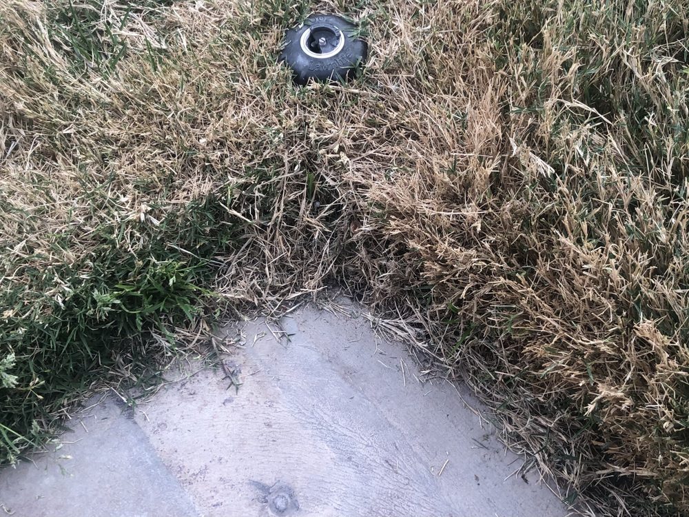 Photo of Energetic Lawn Care & Landscapes