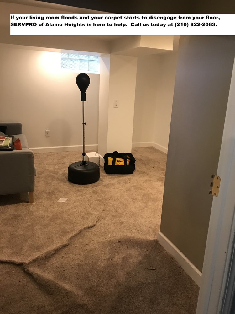 Photo of SERVPRO of Alamo Heights