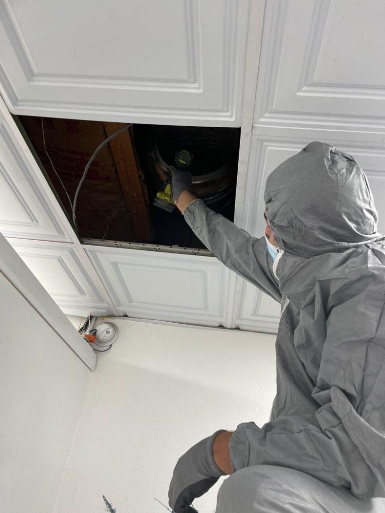 Photo of BayCare Cleaning Services