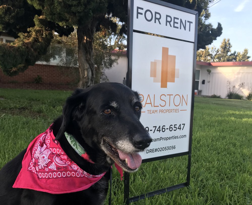 Photo of Ralston Team Properties