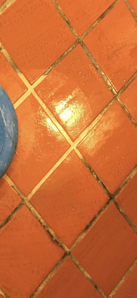 Photo of Spotless