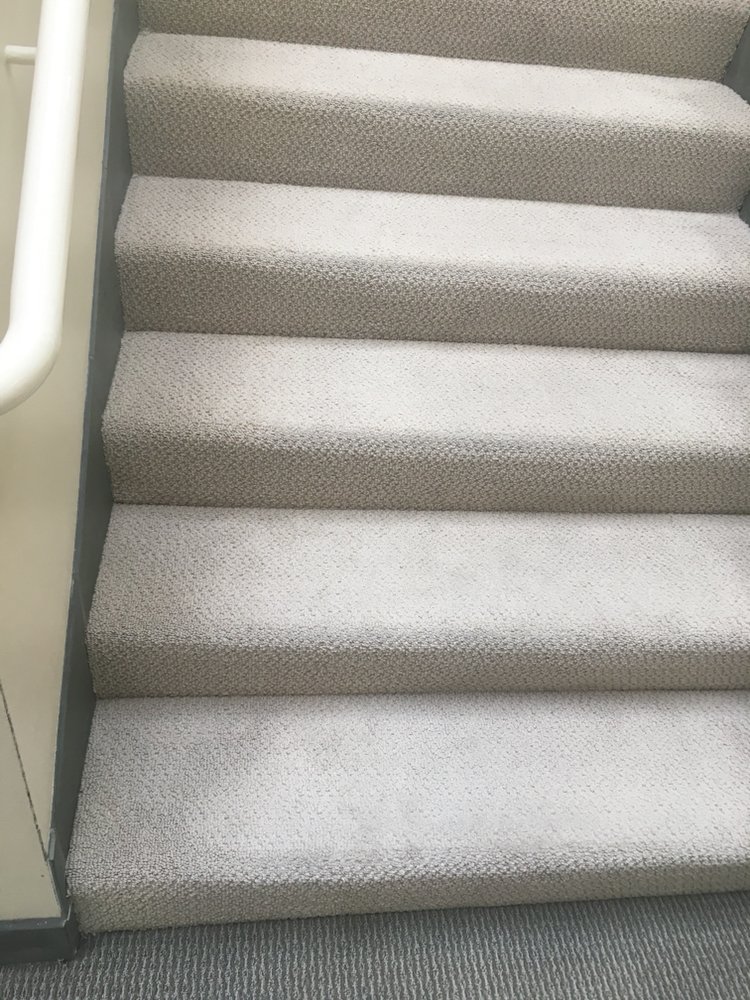 Photo of Spotless