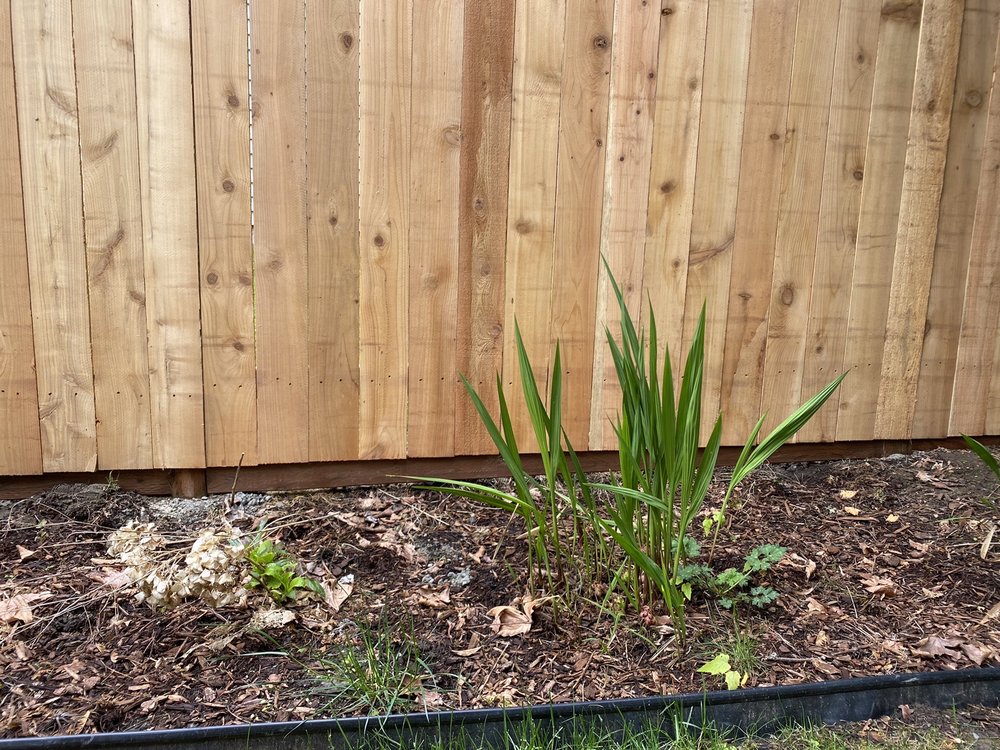 Photo of Puget Fence